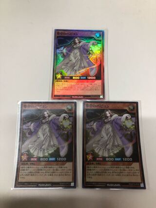 夢中のパピヨン　3枚セット