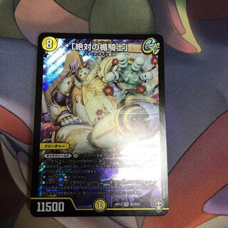 「絶対の楯騎士」