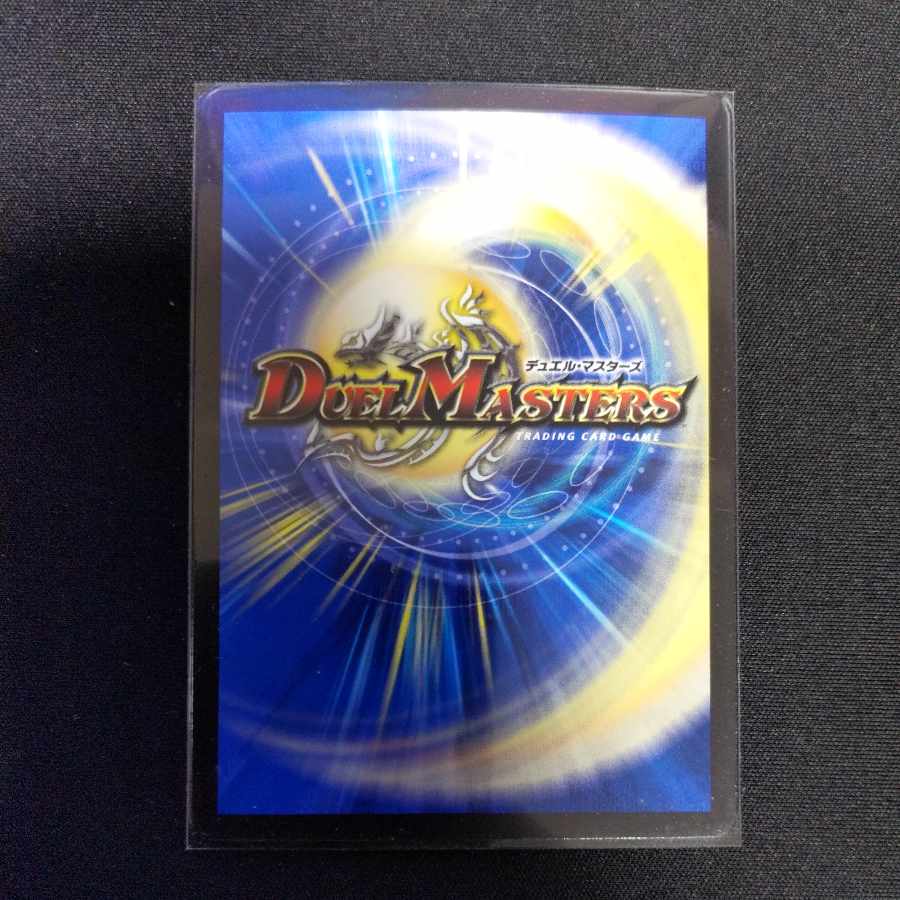 King of Jilt Wilhelm SR S14/S15