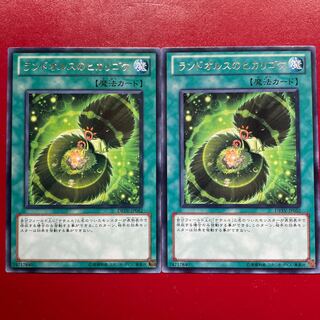 ランドオルスのヒカリゴケ レア JP052