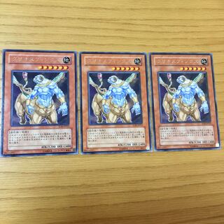 クリオスフィンクス R 3点セット