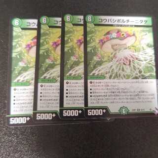 コウバシポルチーニダケ R 23/74