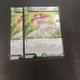 コウバシポルチーニダケ R 23/74