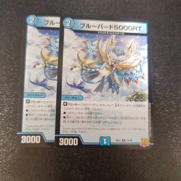 ブルーバード5000RT R 13/76