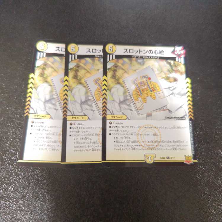 Slotton's heart picture R 11/76