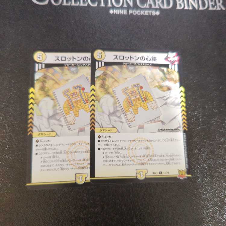 Slotton's heart picture R 11/76