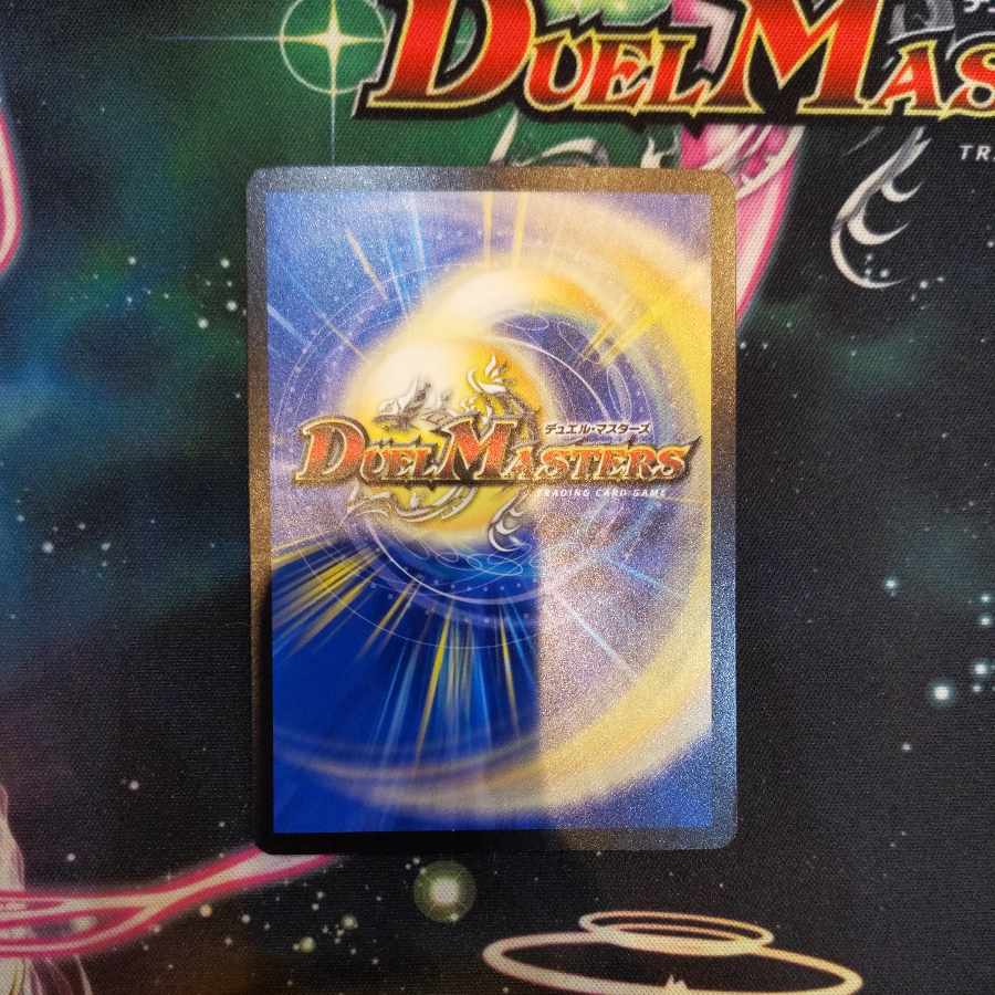 Disメイデン R 24/95　１枚（ありんこ様専用）