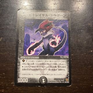 ビトレイヤル・ドラグーン R 24/110/Y5