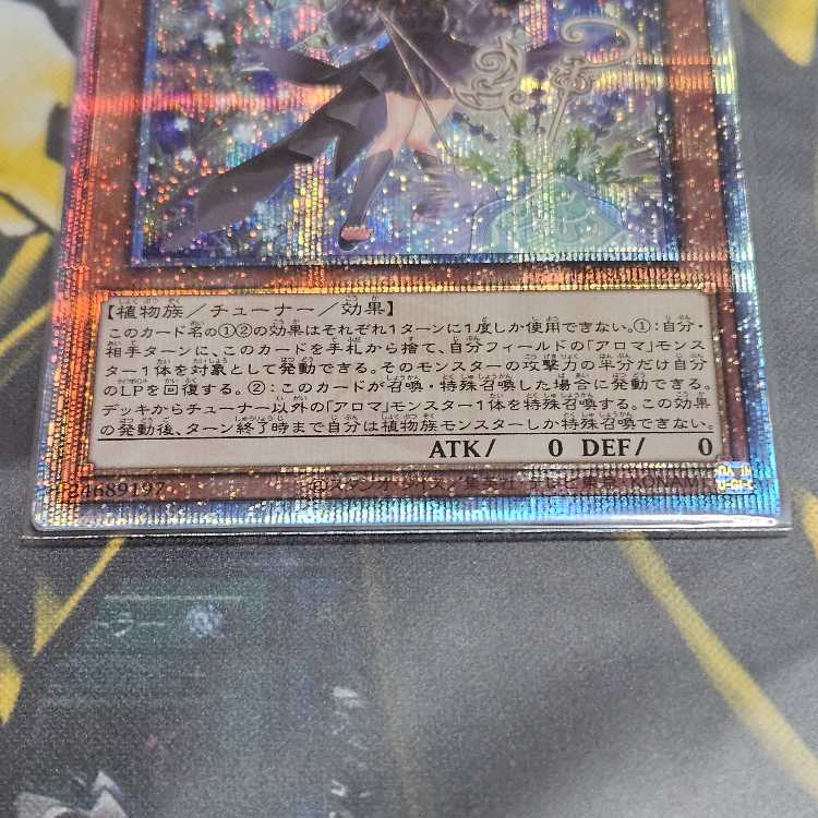Alomari Squirrel-Rosalina QCSE PHNI-JP022 25th Secret Rare