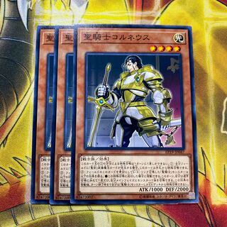 聖騎士コルネウス N