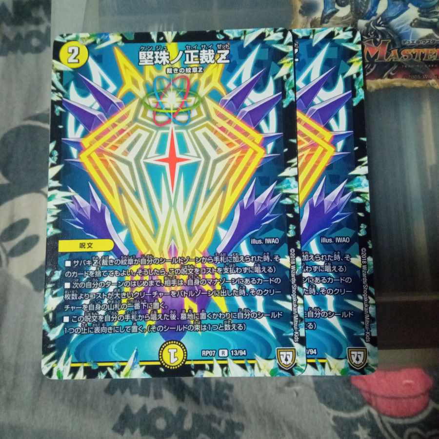 セット割引 堅珠ノ正裁Z R 13/94 2枚セット