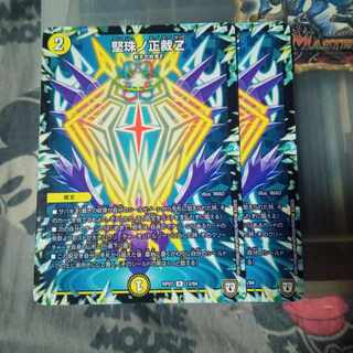 セット割引 堅珠ノ正裁Z R 13/94 2枚セット