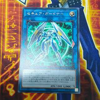 King of Games" Secure Gardna EXFO-JP043