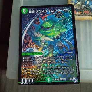 Set Discount Roaring! Grand Slam Scorpion SR S8/S8