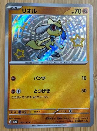 リオル S 280/190 1枚