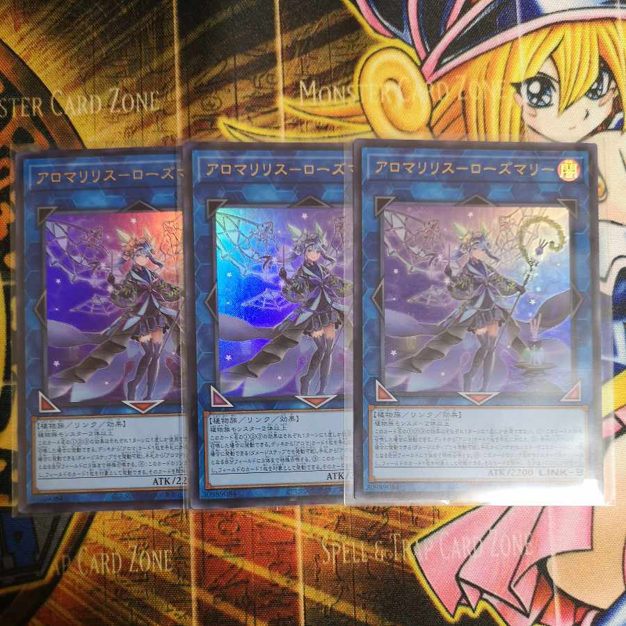 Aromari Squirrel-Rosemary Ultra rare PHNI-JP050 and other PHNI aroma sets