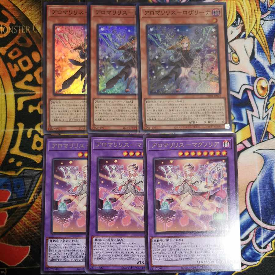 Aromari Squirrel-Rosemary Ultra rare PHNI-JP050 and other PHNI aroma sets