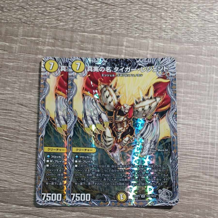 The True Name Tiger Legend (Silver Treasure) VR TR9/TR10