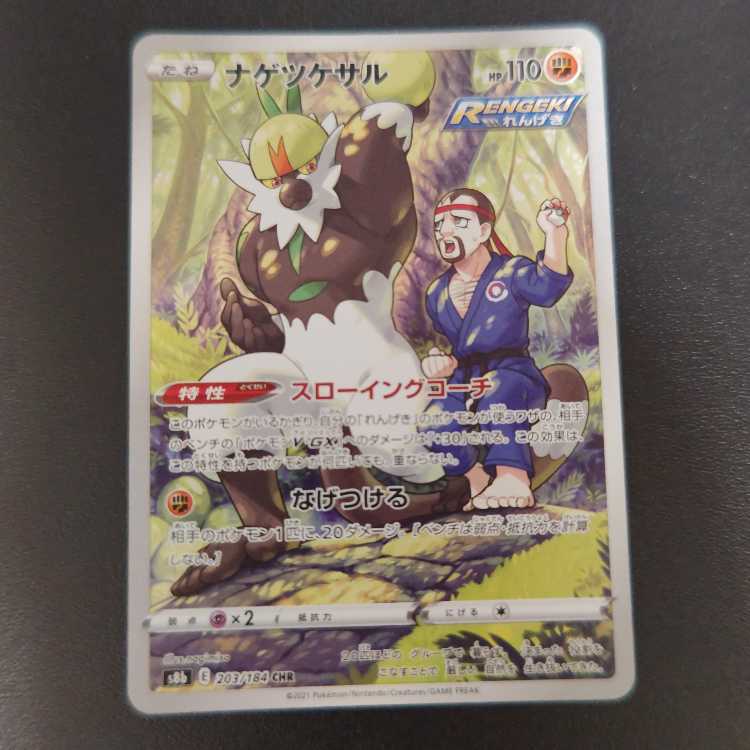 ナゲツケサル CHR 203/184