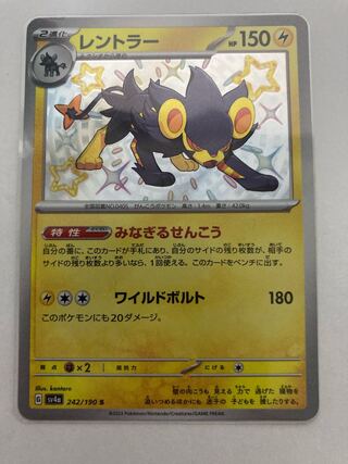 レントラー S 242/190 1枚