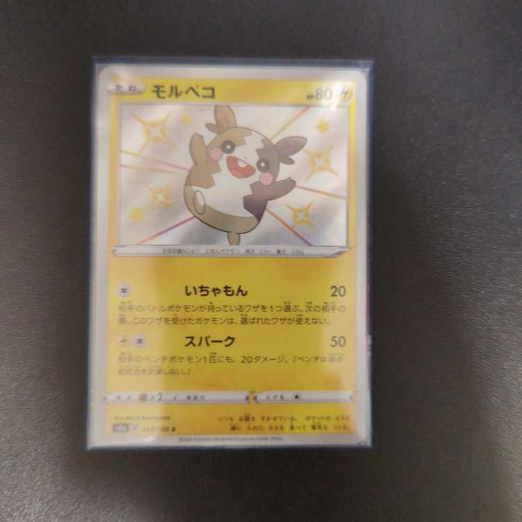 モルペコ S 243/190 1枚