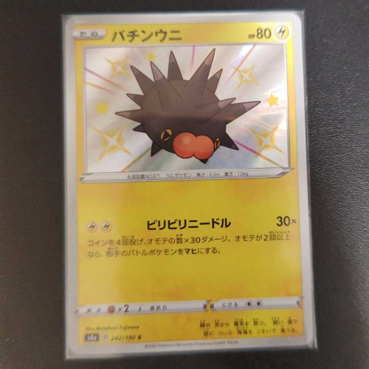 Pincurchin S 242/190