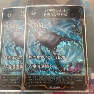 パラワンオオヒラタクワガタ2枚セット