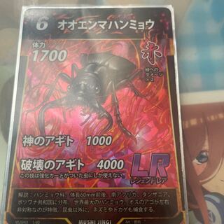 オオエンマハンミョウ