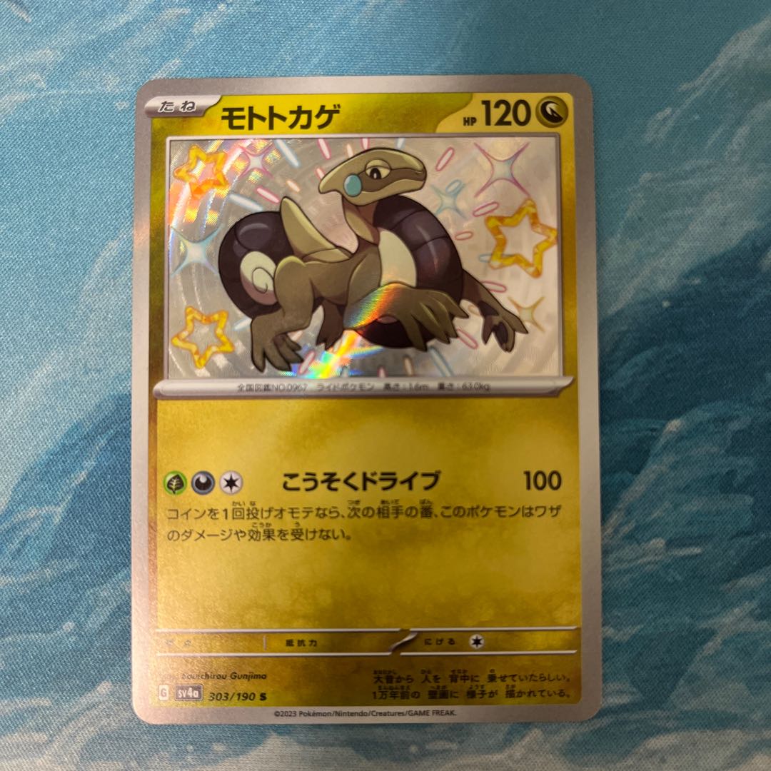 Pokéka Moto lizard S