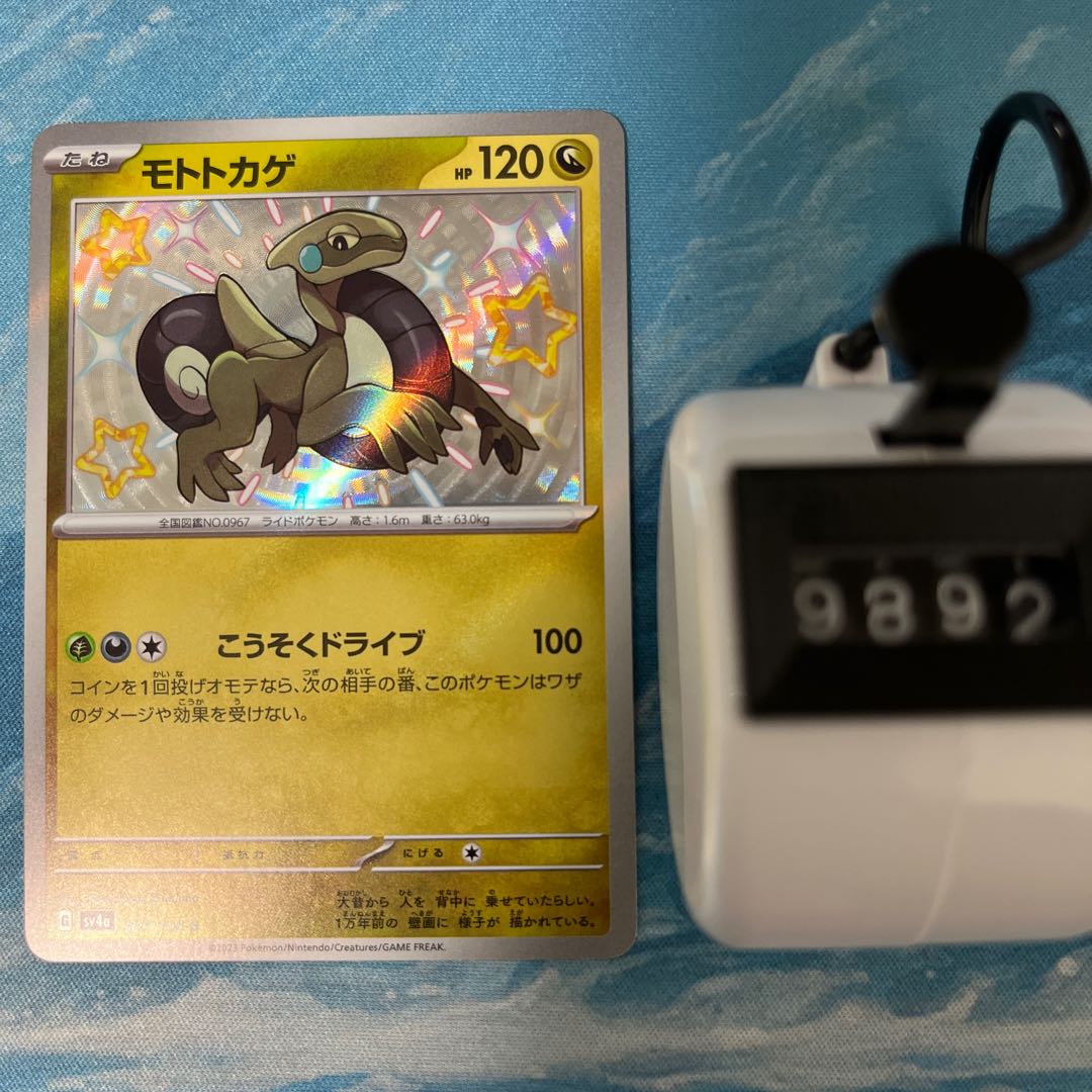 Pokéka Moto lizard S