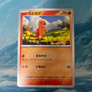 Pocketka Charmander