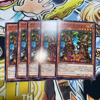 オオヤツ・ツマムヒメ ノーマル JP022