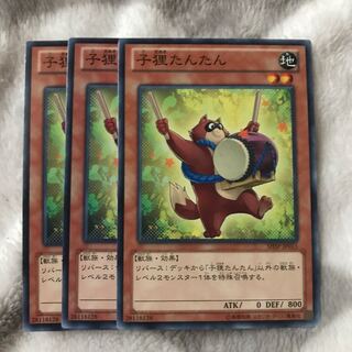 マドレース 子狸たんたん