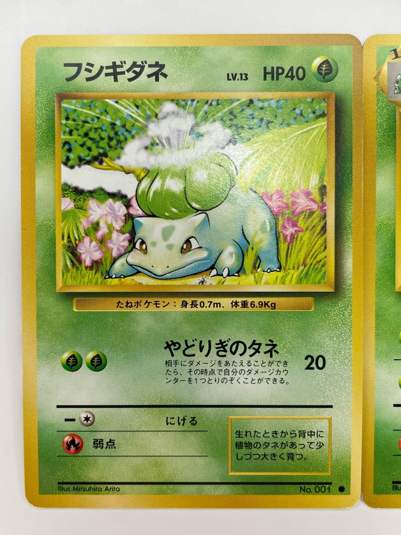 Pokéka Old Back: The Three Families Fujigibana Ivysaur Bulbasaur