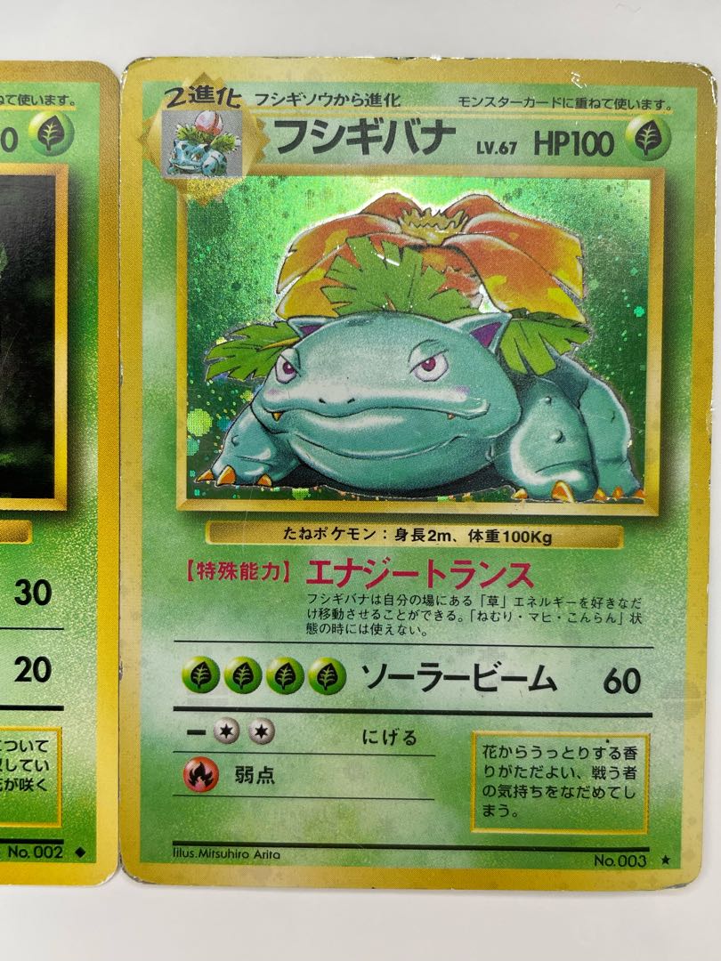 Pokéka Old Back: The Three Families Fujigibana Ivysaur Bulbasaur