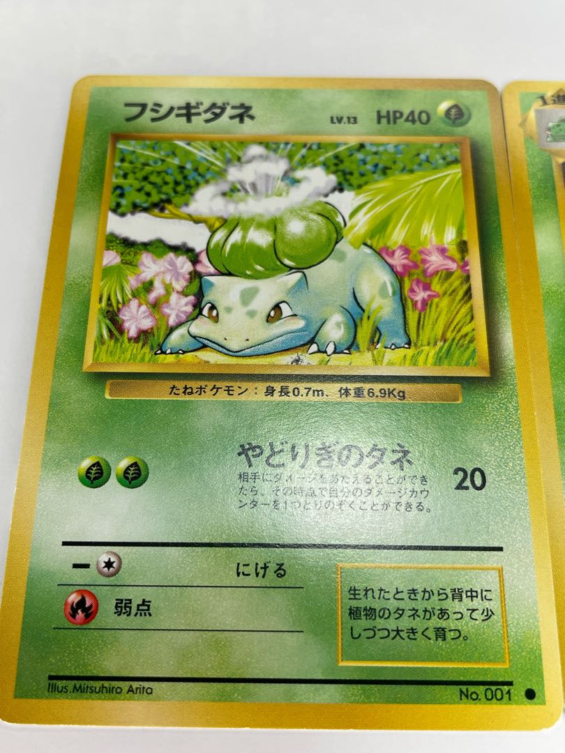 Pokéka Old Back: The Three Families Fujigibana Ivysaur Bulbasaur
