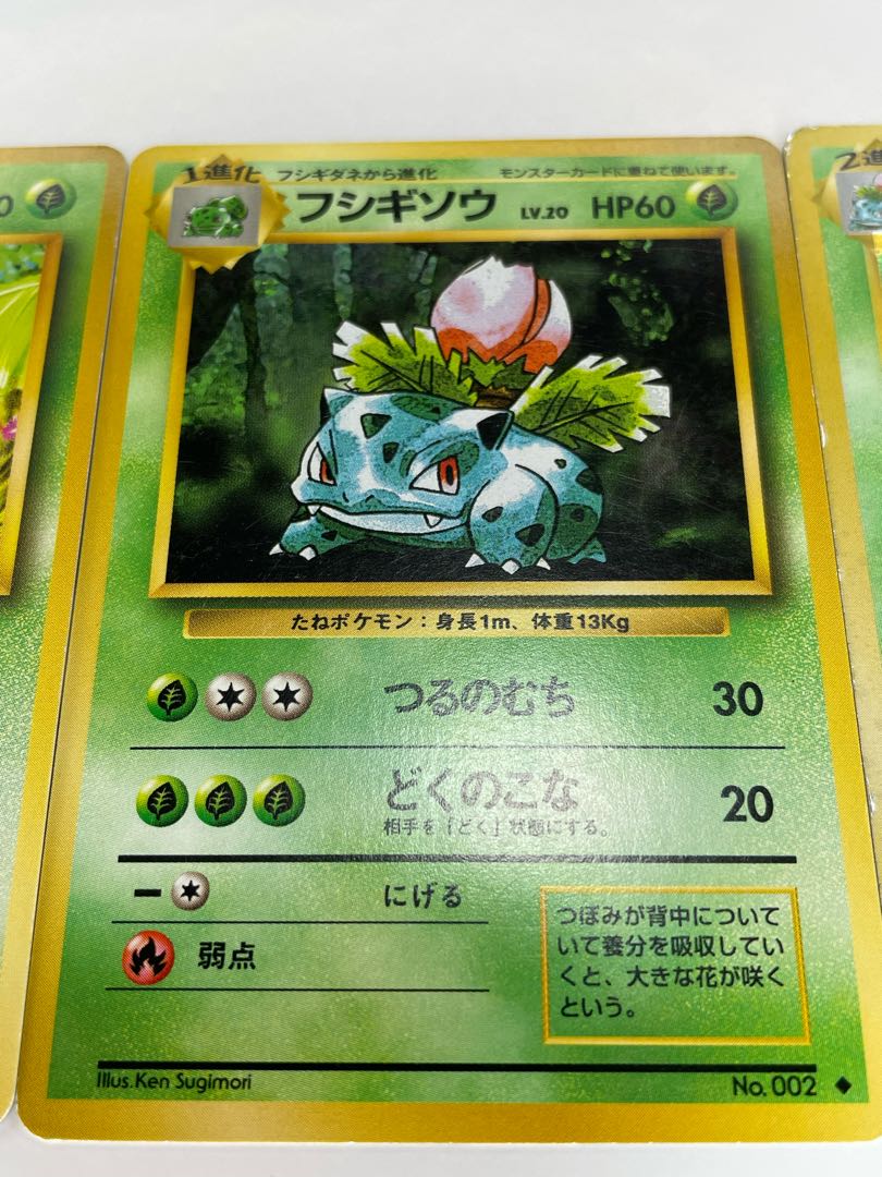 Pokéka Old Back: The Three Families Fujigibana Ivysaur Bulbasaur