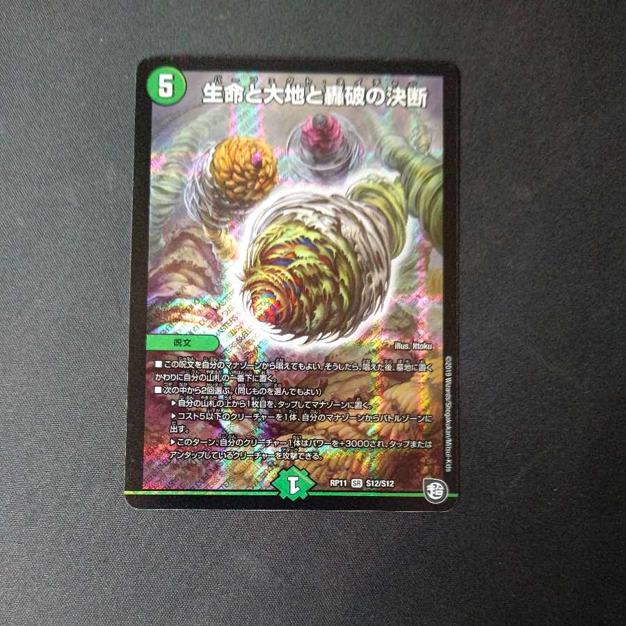 Life Life, Earth and Roaring Decision SR S12/S12