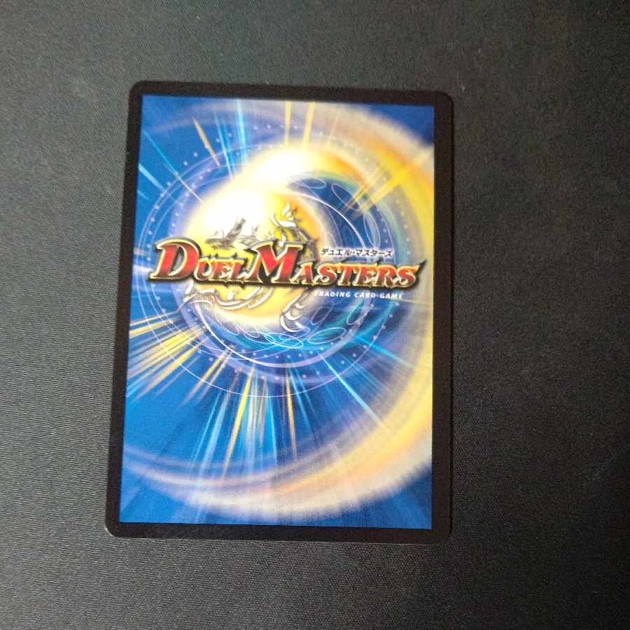 Life Life, Earth and Roaring Decision SR S12/S12