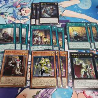 聖騎士デッキパーツ 19枚