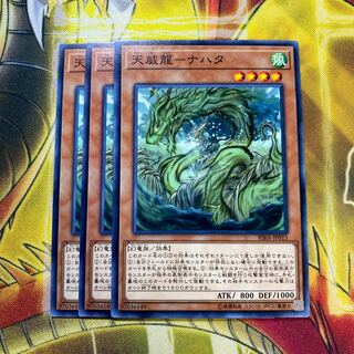 天威龍-ナハタ N