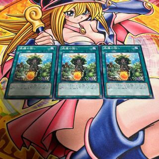 森羅の施し キズあり ノーマル JP062