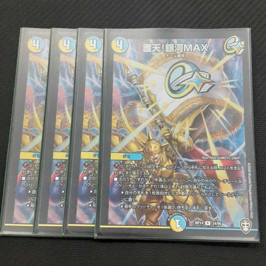 Proten! Ginga MAX R 24/95