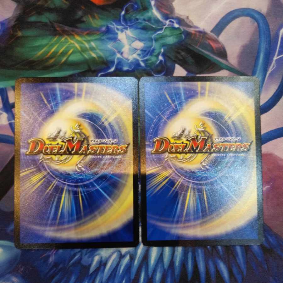 SS Rhapsody of Hope C 48/51 2 sheets