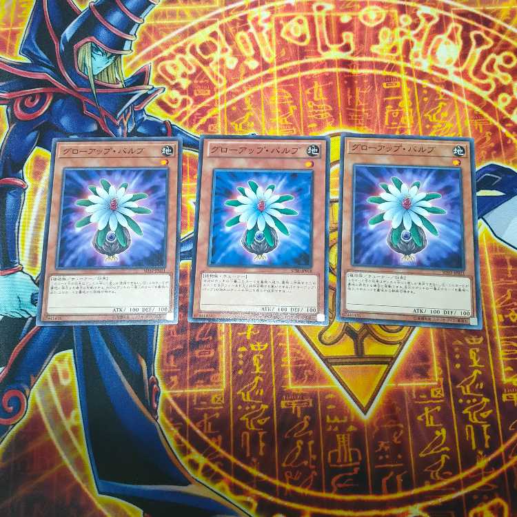 Glow-Up Bulb Normal JP021 3 pieces