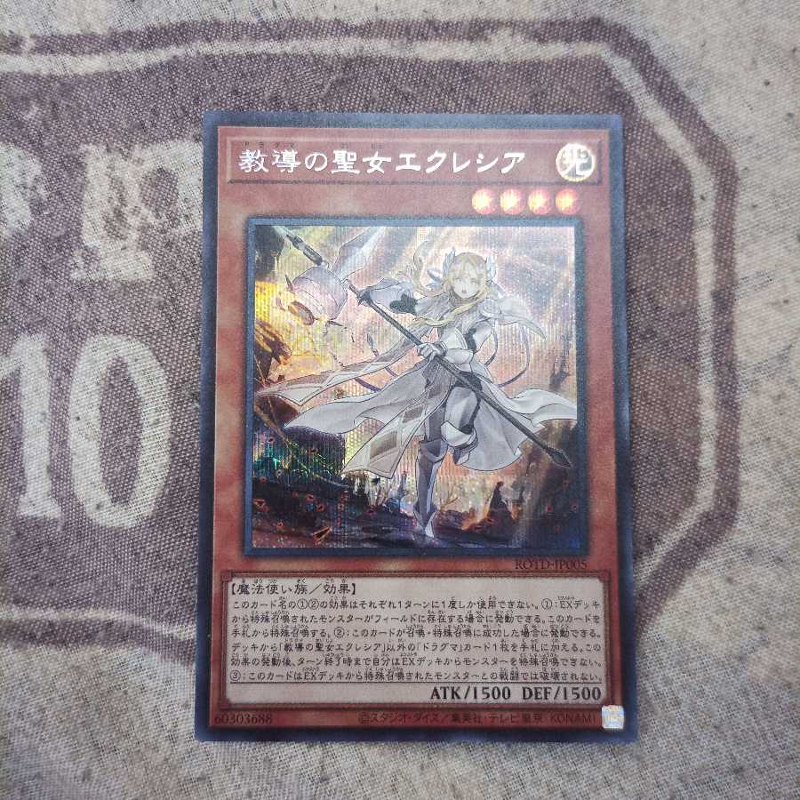 遊戯王 教導のエクレシア 通常シク