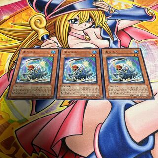 裏ガエル ノーマル JP029