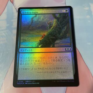 Climbing up the beanstalk foil 1枚