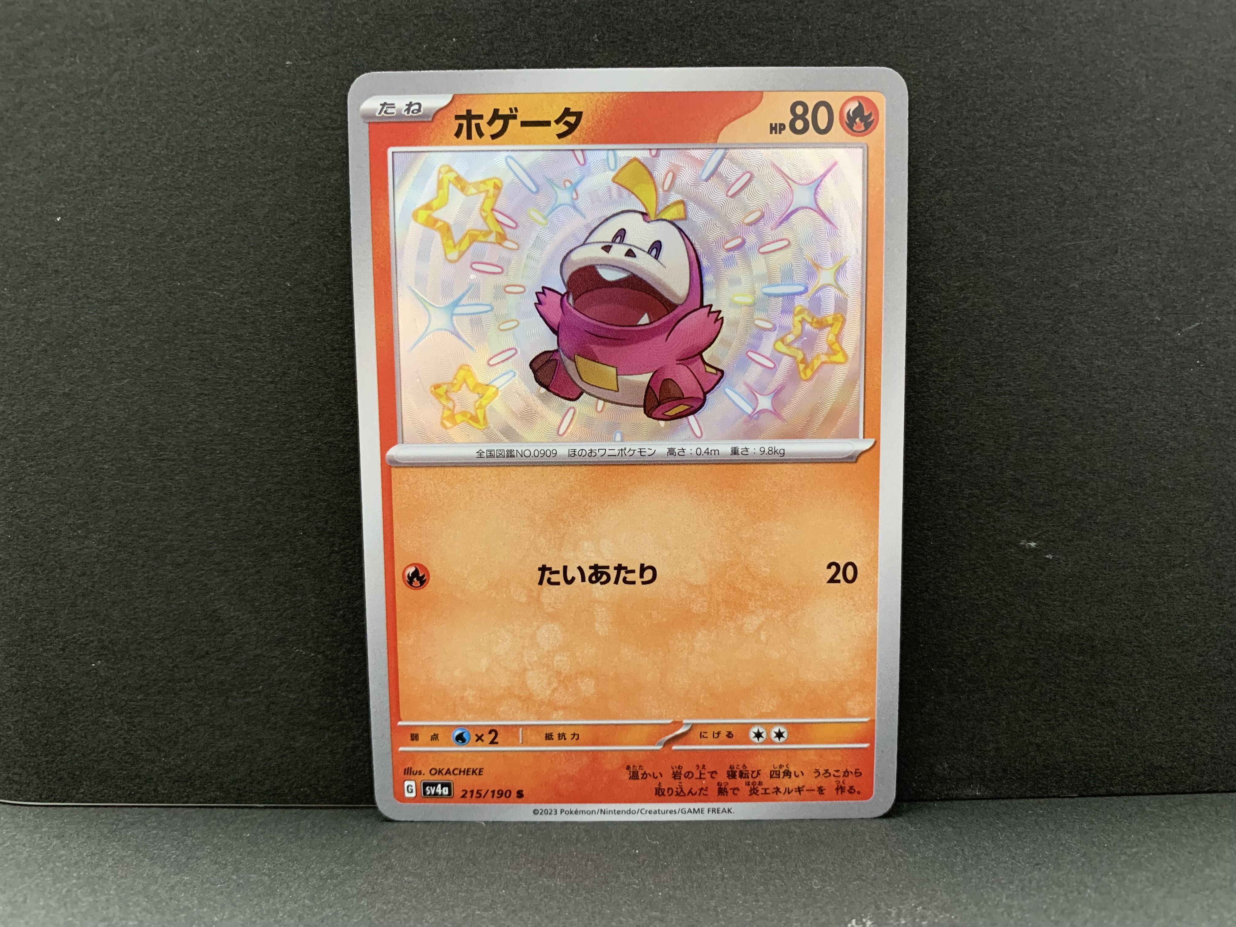 ホゲータ S 215/190 1枚