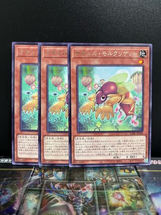 Yu-Gi-Oh Studio 6918 Natur Mole Cricket Rare JP020